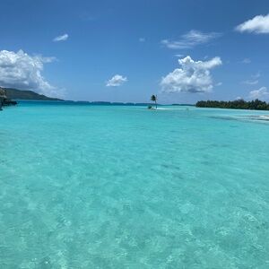 Meet your Posher, Nina